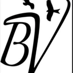 Buzzards Valley