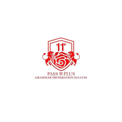 Pass 11 Plus Grammar Preparation Success