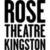 Rose Theatre Kingston - Kingston