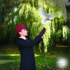 Walsh Funerals and Memorials