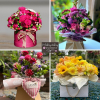 Maisydaisy Florist Ltd