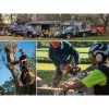 Troys Tree & Hedge Services