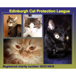Edinburgh Cat Protection League