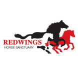 Redwings Horse Sanctuary Mountains