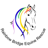 Rainbow Bridge Equine Rescue 