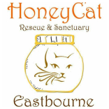 Honey-Cat Rescue