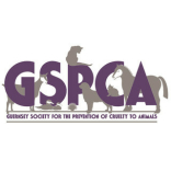 Animal Shelter (GSPCA)