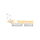 Seahaven Wildlife Rescue