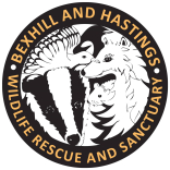 Bexhill & Hastings Wildlife Rescue & Sanctuary