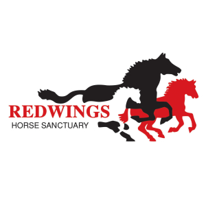 Redwings Horse Sanctuary Oxhill