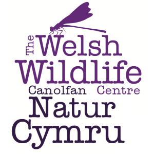 The Welsh Wildlife Centre