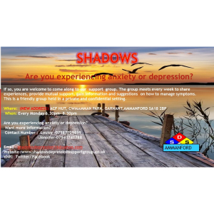 Shadows Depression Support Group