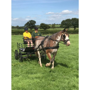 The Royal Forest of Dean RDA Carriage Driving Group