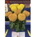 Willenhall Chrysanthemum Society