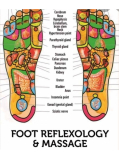 Reflexology Treatments available at Re-Active Sports and Massage and Shockwave Therapy