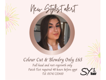 COLOUR, CUT AND BLOW DRY FOR £65