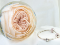 Wedding Day Bridal Bouquet Flower Preservation Package