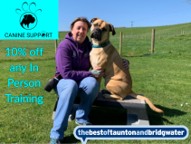 10% off In Person Training
