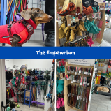 Bespoke Dog Harness Fitting at The Empawrium, Sutton Coldfield