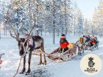 🎅🏼LAPLAND 2027 IS NOW ON SALE 🎅🏼