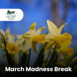 March Madness Break at Last Drop Village Hotel
