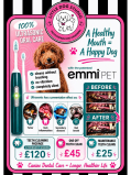 Dog Teeth Cleaning from £25 at Little Dog Studio, Cheslyn Hay