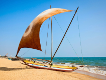 Discover the Flavours of Sri Lanka