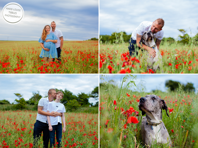 Secure Your Spot for Poppy Mini Sessions Now!