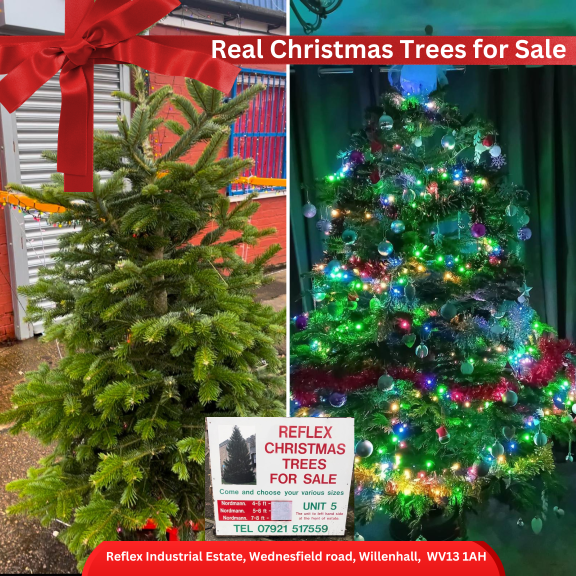 Real Christmas Trees at Reflex Industrial Estate Willenhall