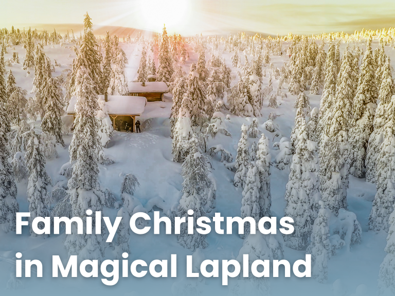 Last Chance to Book Your 2025 Santa Day Trip