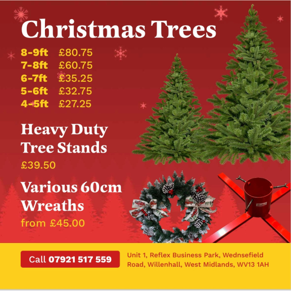 🎄 Real, Beautiful Nordmann Christmas Trees at Reflex Industrial Estate Willenhall