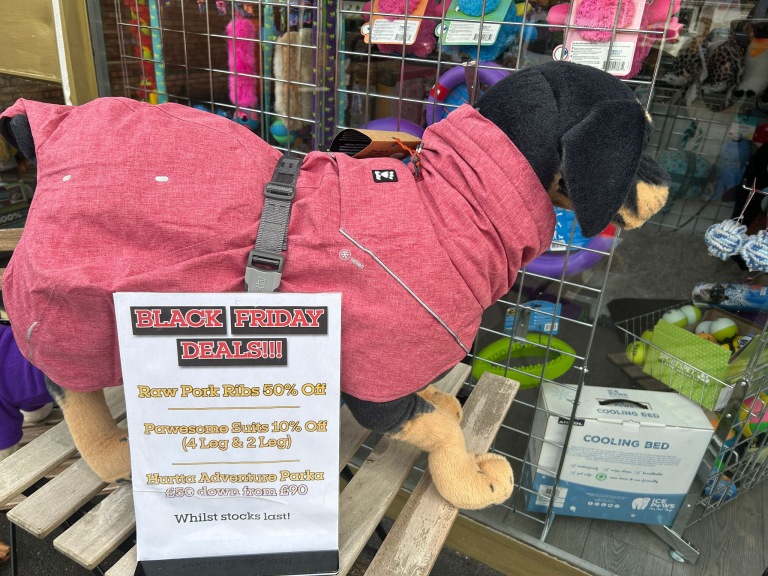 Black Friday (and beyond) Deals at The Empawrium, Sutton Coldfield