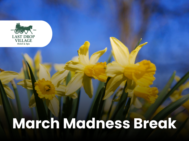 March Madness Break at Last Drop Village Hotel