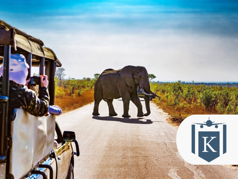 Sensational South Africa Tour, Save 10% on 2027 & 2028 Departures