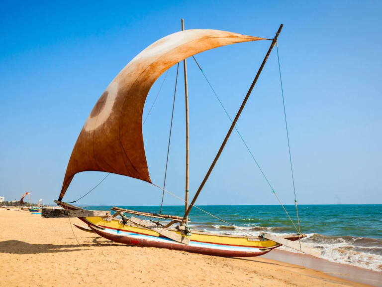 Discover the Flavours of Sri Lanka