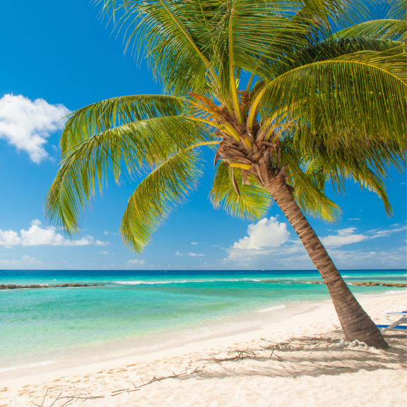 All-inclusive Family Holiday in Barbados