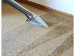 10% off Carpet Cleans with The Carpet Doctor