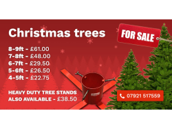Real Christmas Trees From Reflex Industrial Estate 
