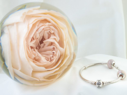 Wedding Day Bridal Bouquet Flower Preservation Package