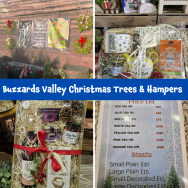 🎄 Buzzards Valley Christmas Trees & Bespoke Hampers – Now Available!