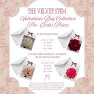 The Velvet Stem Valentine’s Day Collection, Pre-Order Offer