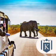 Sensational South Africa Tour, Save 10% on 2027 & 2028 Departures