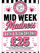 Midweek Madness Bath & Blow Dry £25 Offer at Little Dog Studio Cheslyn Hay