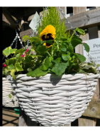 Autumn Hanging Baskets and More…