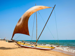 Discover the Flavours of Sri Lanka
