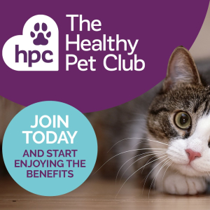 SAVE OVER £200 A YEAR ON YOUR PET'S HEALTHCARE
