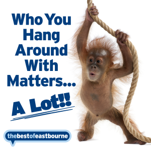 See How Your Business Could Look on thebestof Eastbourne