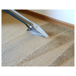 10% off Carpet Cleans with The Carpet Doctor