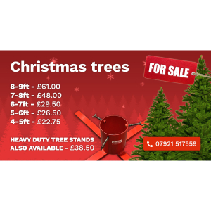 Real Christmas Trees From Reflex Industrial Estate 