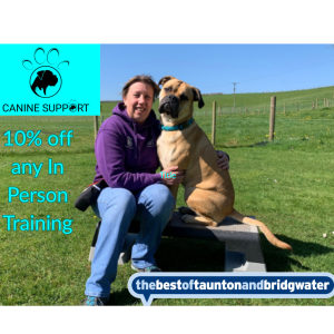 10% off In Person Training